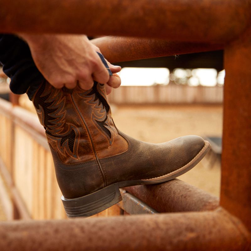 Dark Brown Ariat Cowpuncher Venttek Cowboy Boot | 23GYTVIUD