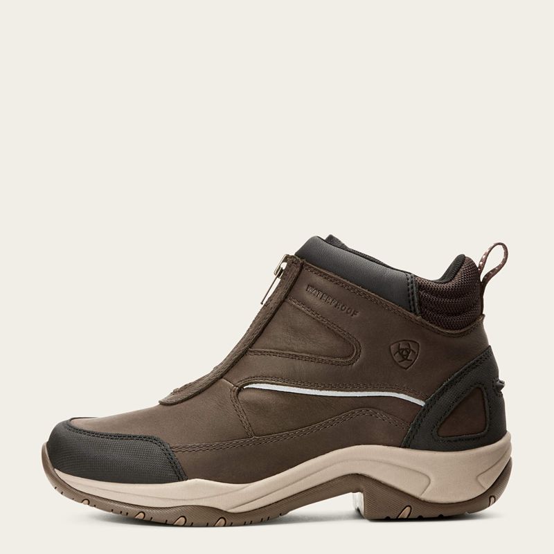 Dark Brown Ariat Telluride Zip Waterproof | 92WYUEMQO