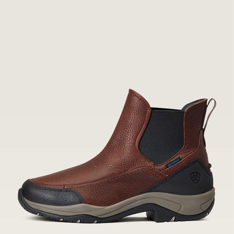 Dark Brown Ariat Terrain Blaze Waterproof Boot | 27BXDPQMK