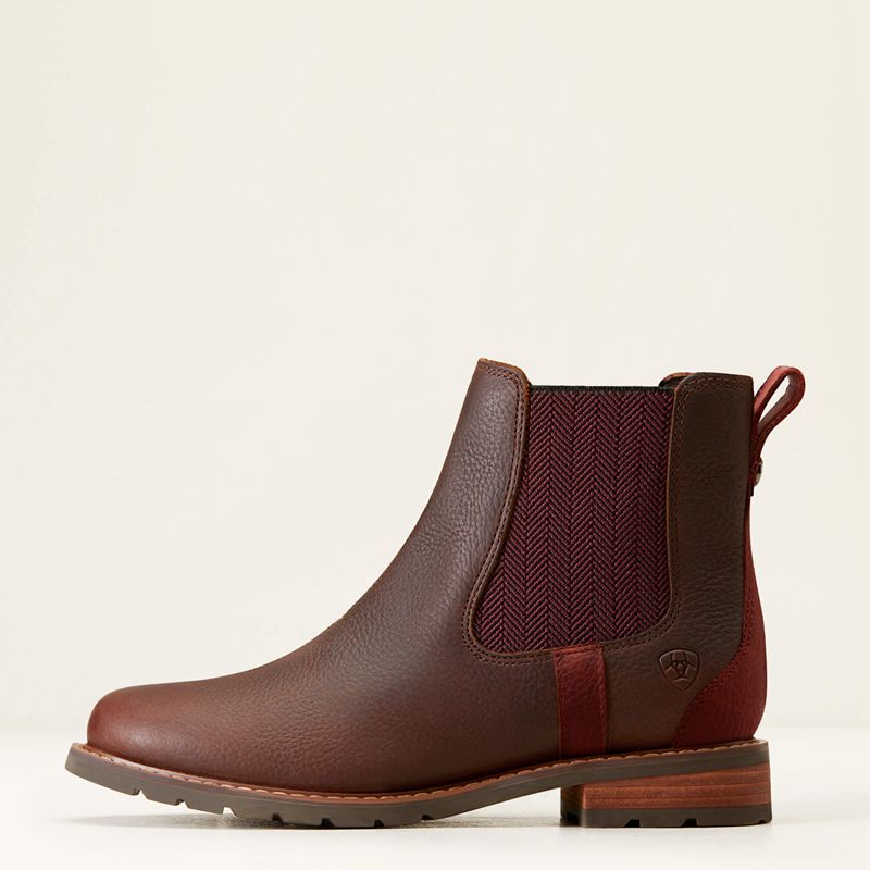 Dark Brown Ariat Wexford Waterproof Chelsea Boot | 87SUCVBTM