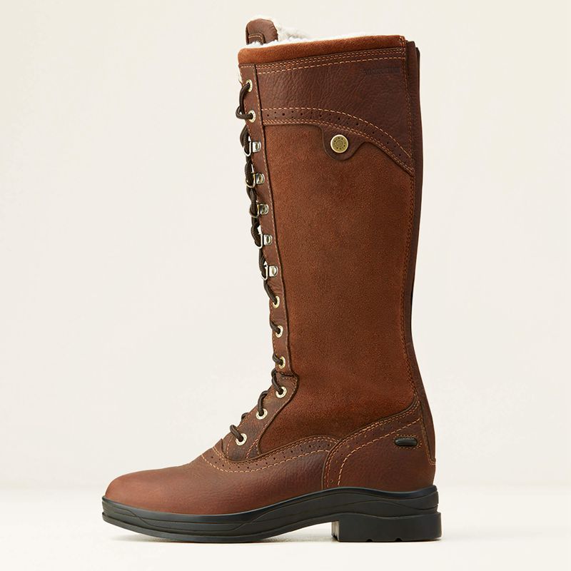 Dark Brown Ariat Wythburn Tall Waterproof Boot | 25FEMTHAZ