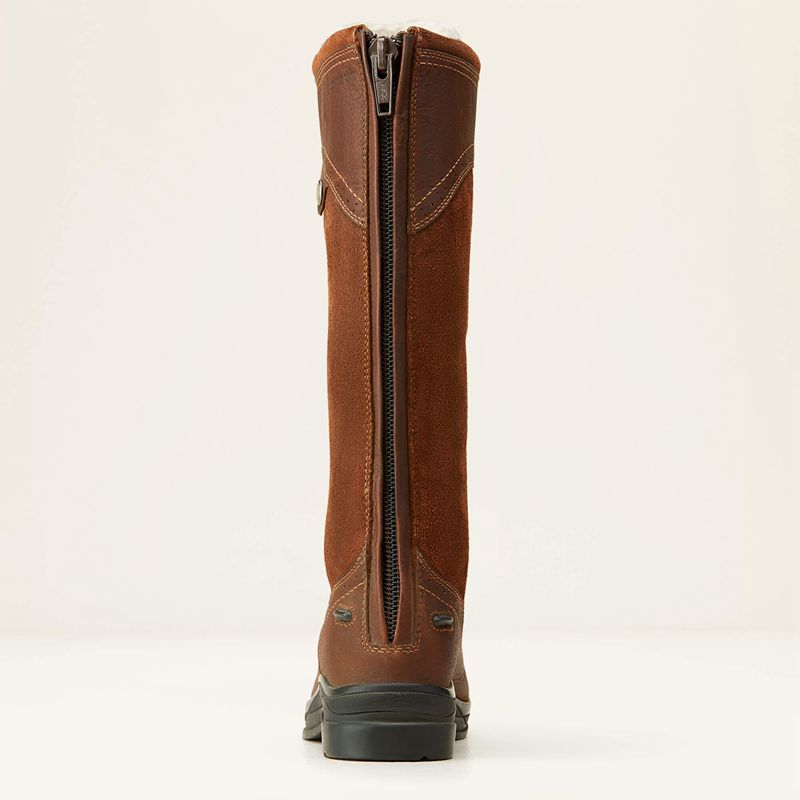 Dark Brown Ariat Wythburn Tall Waterproof Boot | 25FEMTHAZ