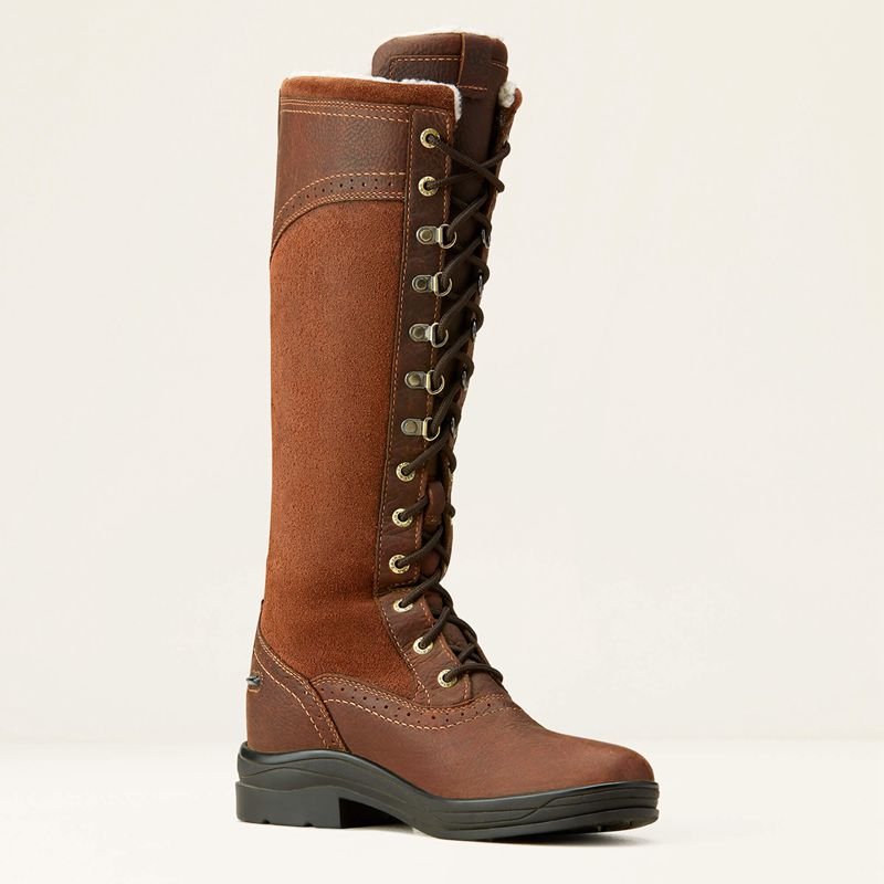 Dark Brown Ariat Wythburn Tall Waterproof Boot | 25FEMTHAZ