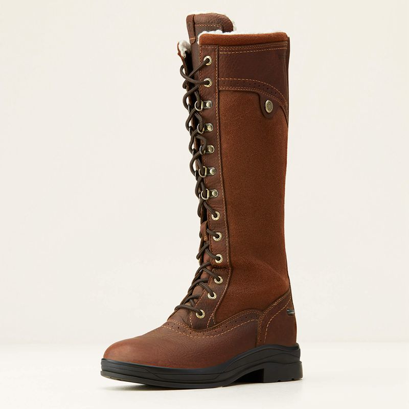 Dark Brown Ariat Wythburn Tall Waterproof Boot | 25FEMTHAZ