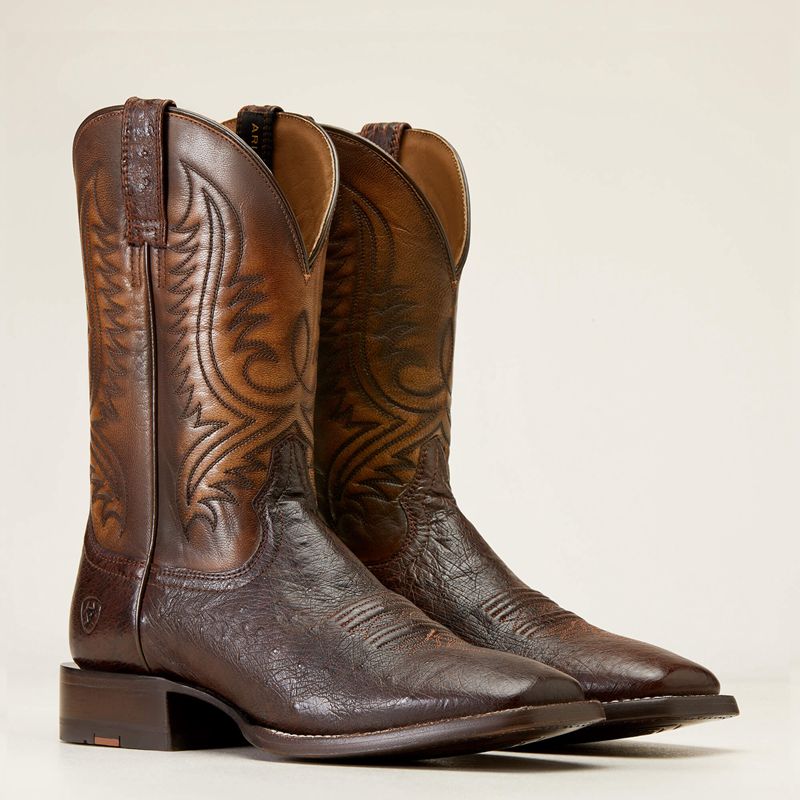 Dark Brown Smooth Quill Ostric Ariat Paxton Pro Cowboy Boot | 14UWAPDRB