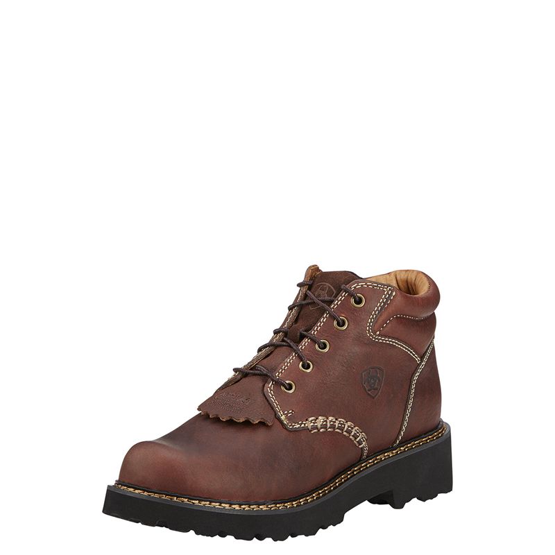 Dark Copper Ariat Canyon Boot | 92IUARHFN