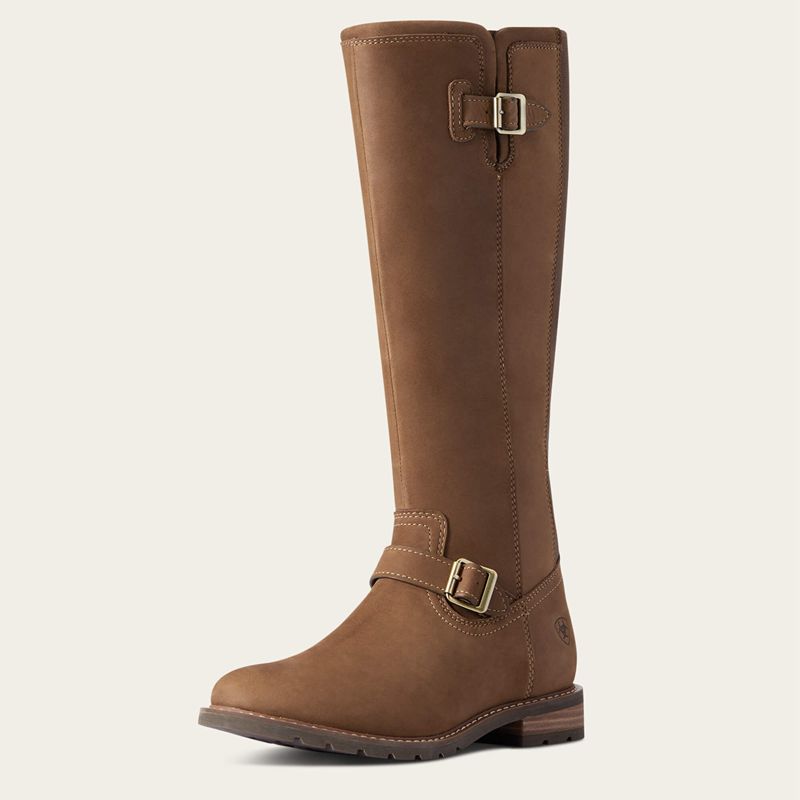 Dark Earth Ariat Sadie Waterproof Boot | 24GFMRXOW