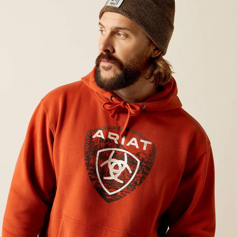 Dark Orange Ariat Forest Badge Hoodie | 23CRISQFM