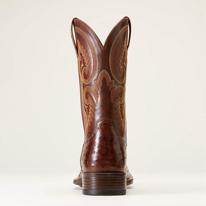 Dark Tabac Full Quill Ostrich Ariat Barley Ultra Western Boot | 90IYKWLGS