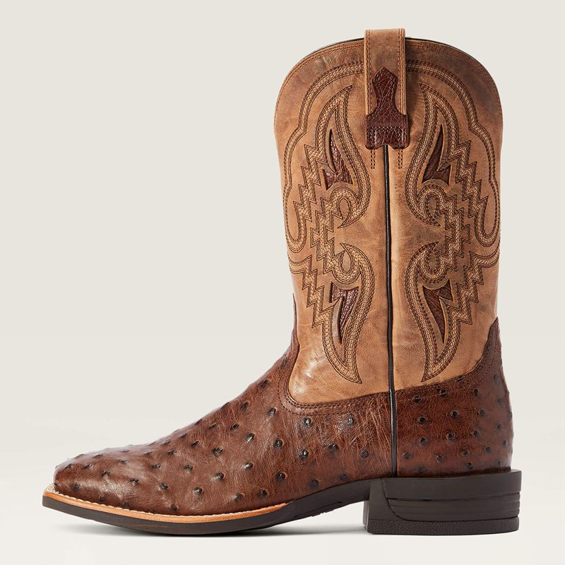 Dark Tabac Full Quill Ostrich Ariat Dagger Western Boot | 09JZPBXML