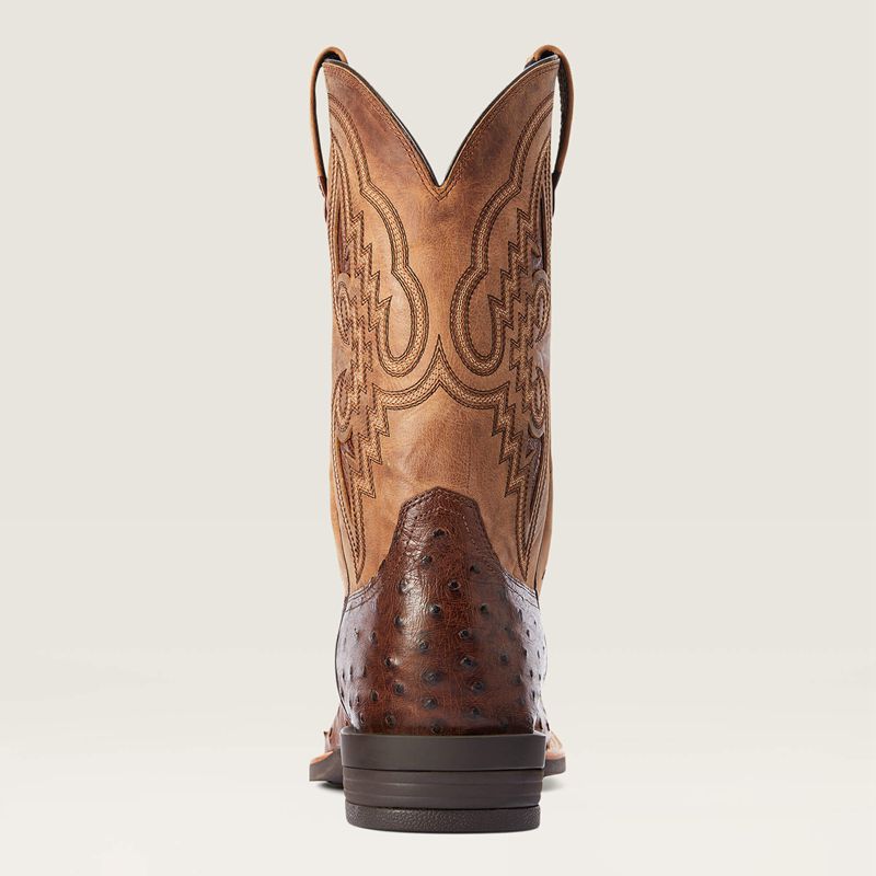 Dark Tabac Full Quill Ostrich Ariat Dagger Western Boot | 09JZPBXML