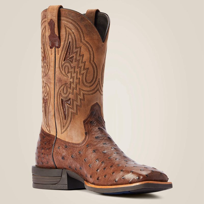 Dark Tabac Full Quill Ostrich Ariat Dagger Western Boot | 09JZPBXML