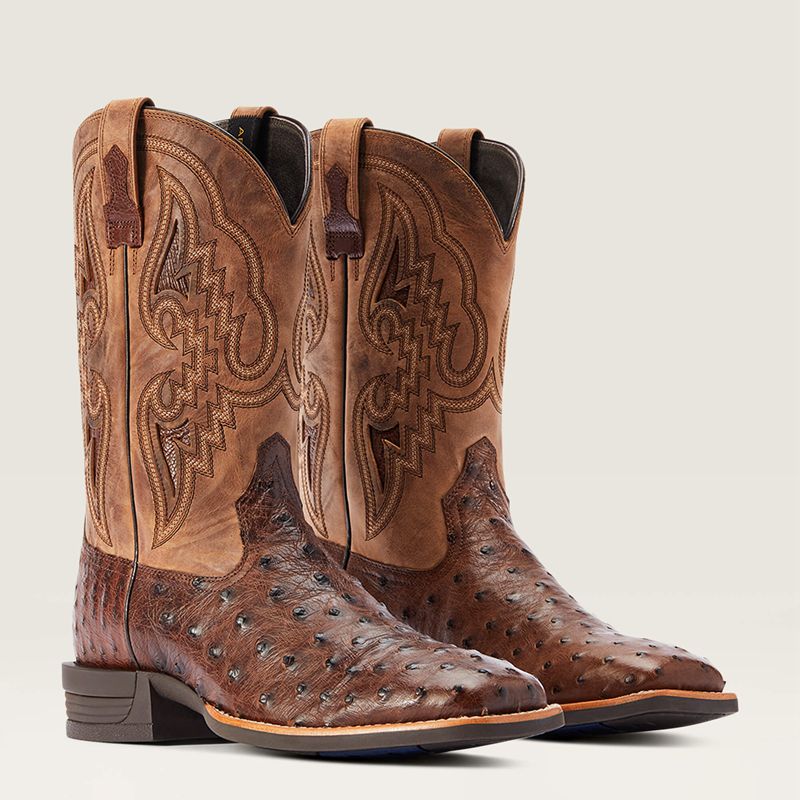 Dark Tabac Full Quill Ostrich Ariat Dagger Western Boot | 09JZPBXML