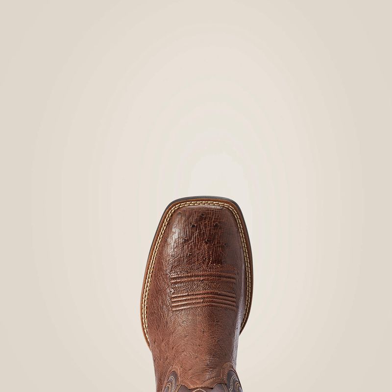 Dark Tabac Smooth Quill Ostric Ariat Reckoning Western Boot | 65EDIGPWZ