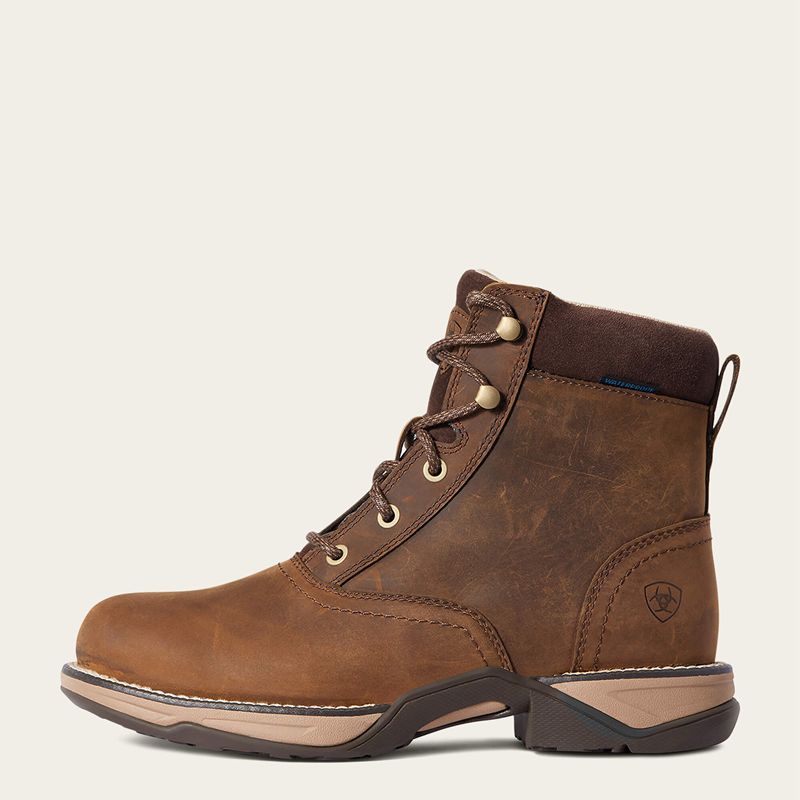 Distressed Brown Ariat Anthem Round Toe Lacer Waterproof Boot | 49HVIRNUG