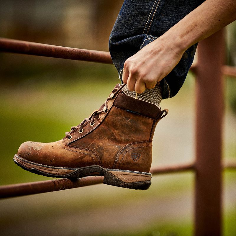 Distressed Brown Ariat Anthem Round Toe Lacer Waterproof Boot | 49HVIRNUG