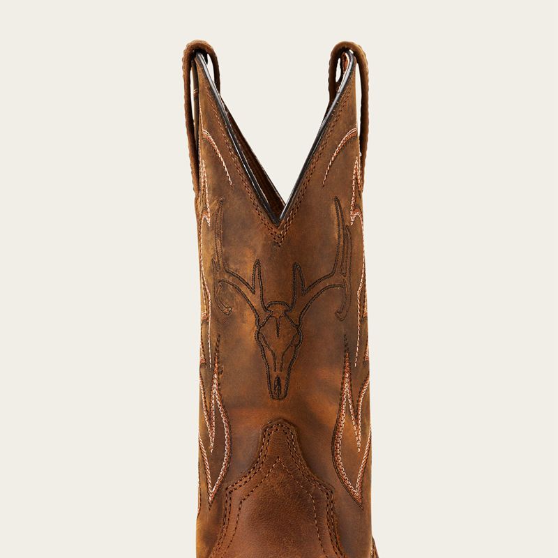 Distressed Brown Ariat Sport Outdoor Western Boot | 09OKUXDGB