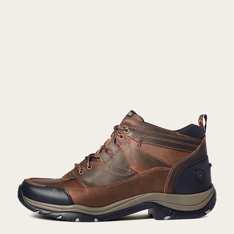 Distressed Brown Ariat Terrain | 36XAFCGNQ