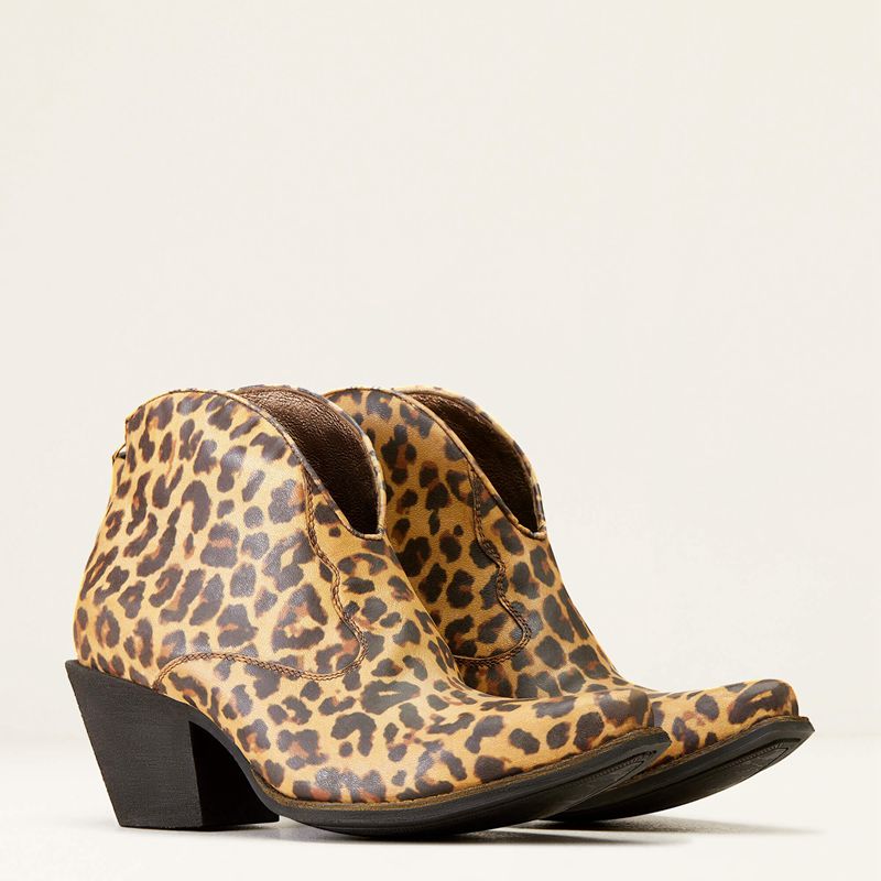 Distressed Leopard Ariat Layla Western Boot | 06YZCHJOA