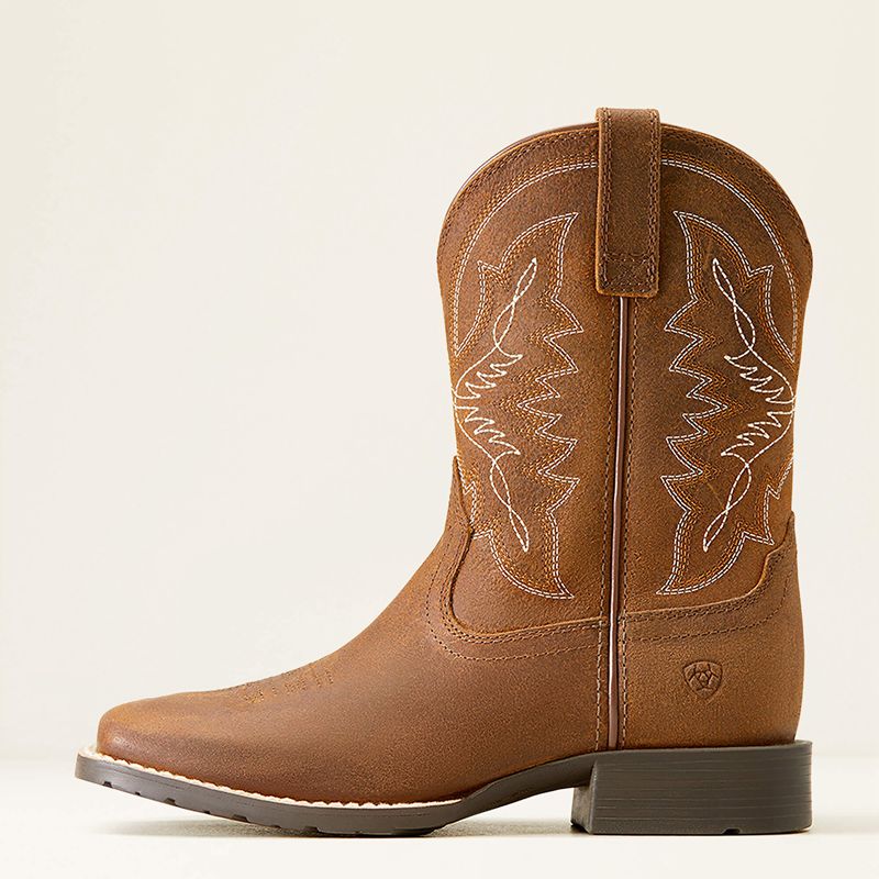 Distressed Tan Ariat Bk Hybrid Rancher Western Boot | 36TCVNPZY