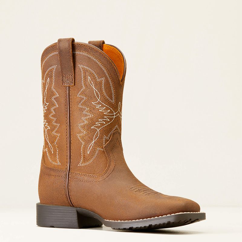 Distressed Tan Ariat Bk Hybrid Rancher Western Boot | 36TCVNPZY