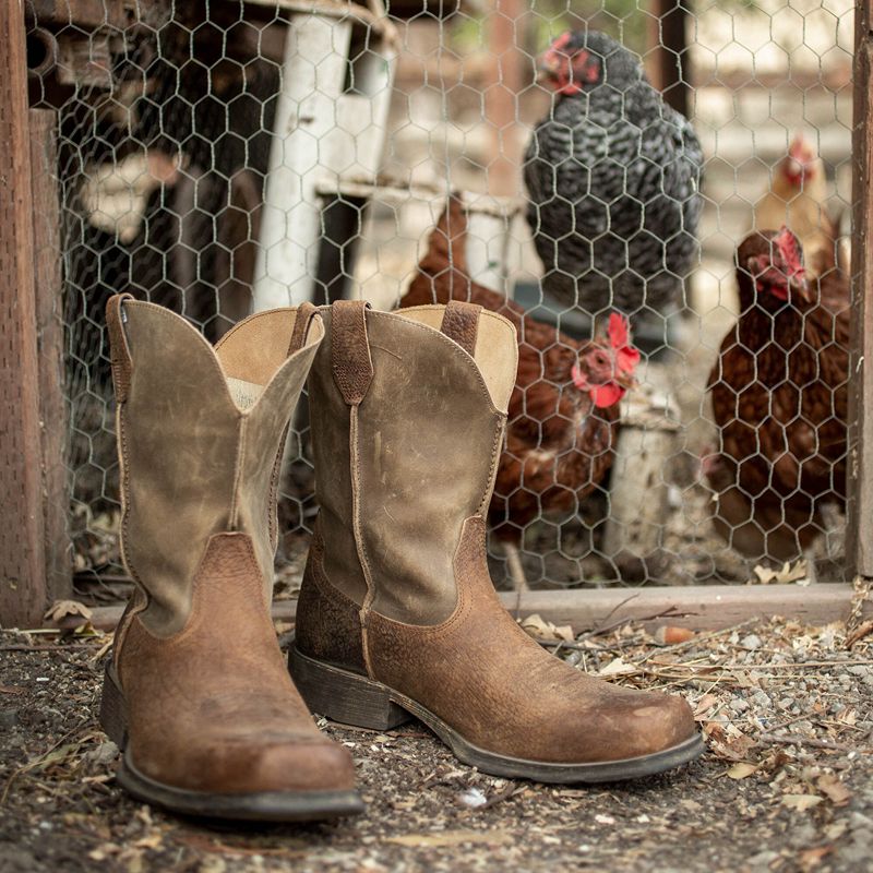 Earth Ariat Rambler Western Boot | 64MVDENAB