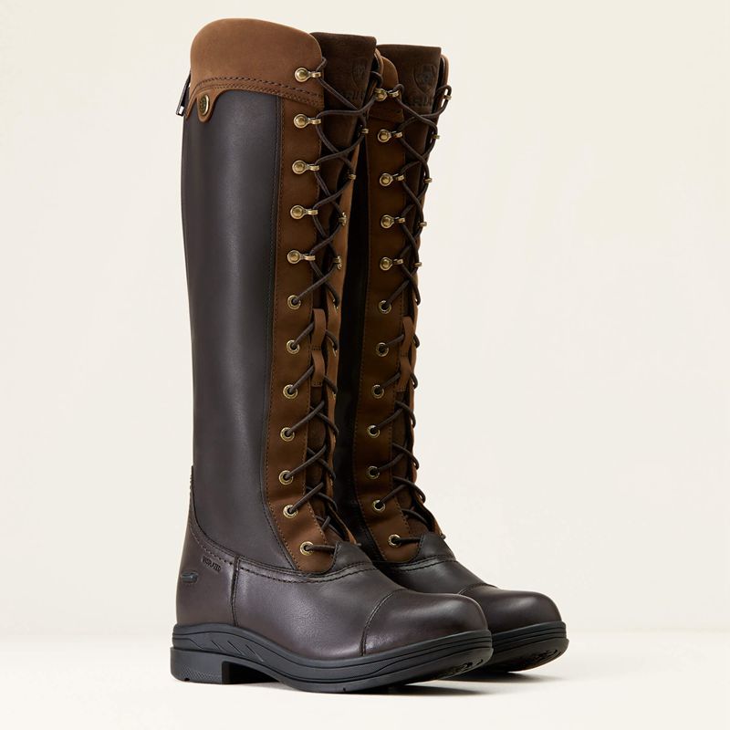 Ebony Brown Ariat Coniston Max Waterproof Insulated Boot | 31TUVSGMP