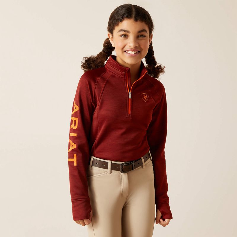 Fired Brick Ariat Tek Team 1/2 Zip Sweatshirt | 32SCHYLNF