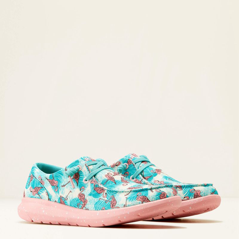 Flamingo Print Ariat Hilo | 75NRPDTBE