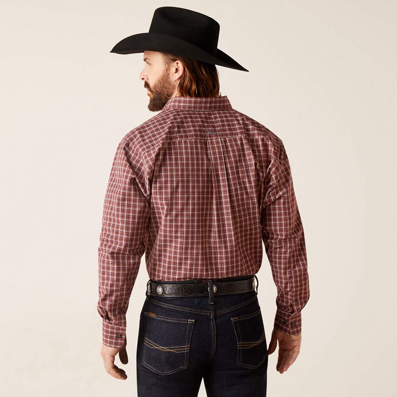 Frair Brown Ariat Pro Series Nicco Classic Fit Shirt | 87ZCYDXNK