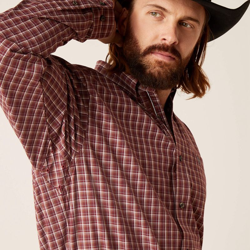 Frair Brown Ariat Pro Series Nicco Classic Fit Shirt | 87ZCYDXNK