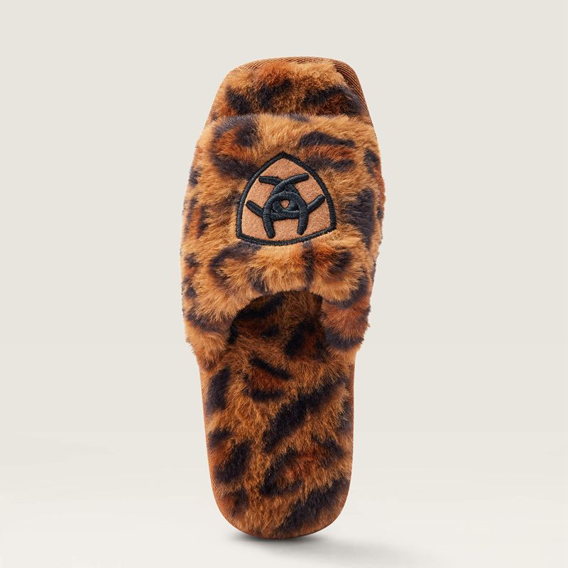 Fuzzy Leopard Print Ariat Cozy Chic Square Toe Slipper | 81ZLMPBRE