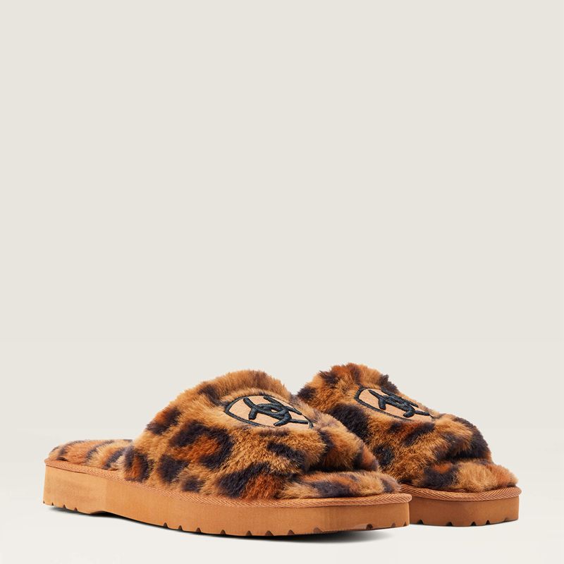 Fuzzy Leopard Print Ariat Cozy Chic Square Toe Slipper | 81ZLMPBRE