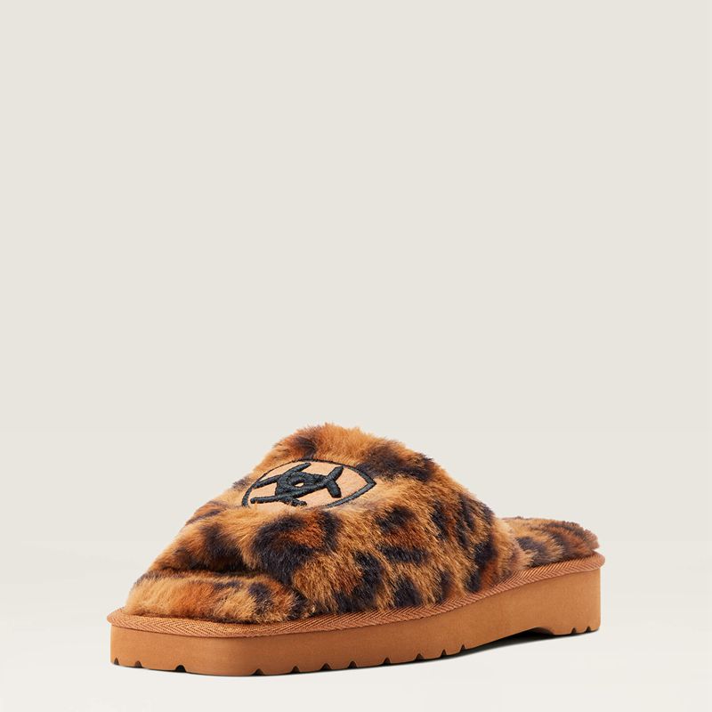 Fuzzy Leopard Print Ariat Cozy Chic Square Toe Slipper | 81ZLMPBRE