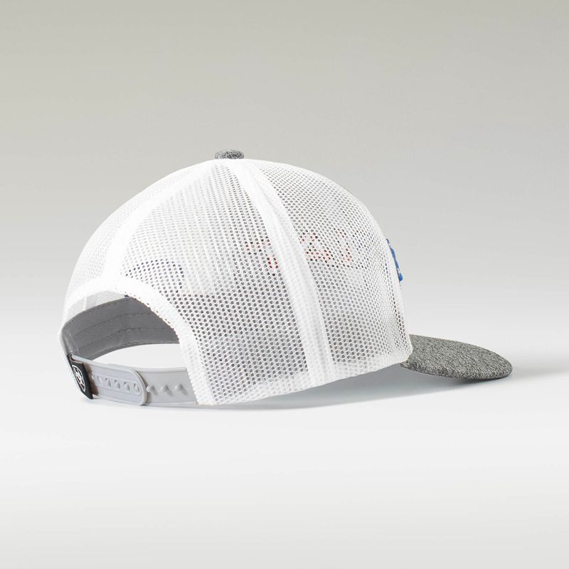 Grey Ariat Red/ White/ Blue Logo Cap | 79TXFPEHL