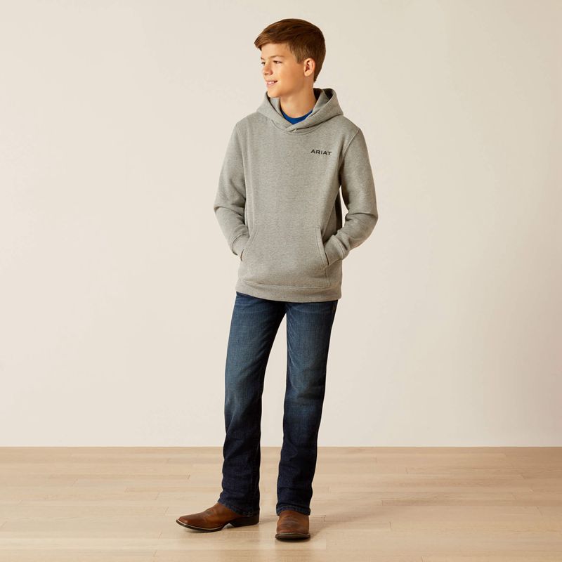 Grey Heather Ariat Bold Hex Hoodie | 62IHZKCGL