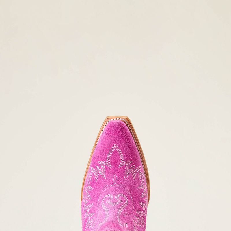 Haute Pink Suede Ariat Dixon Bootie | 86WVJABUK