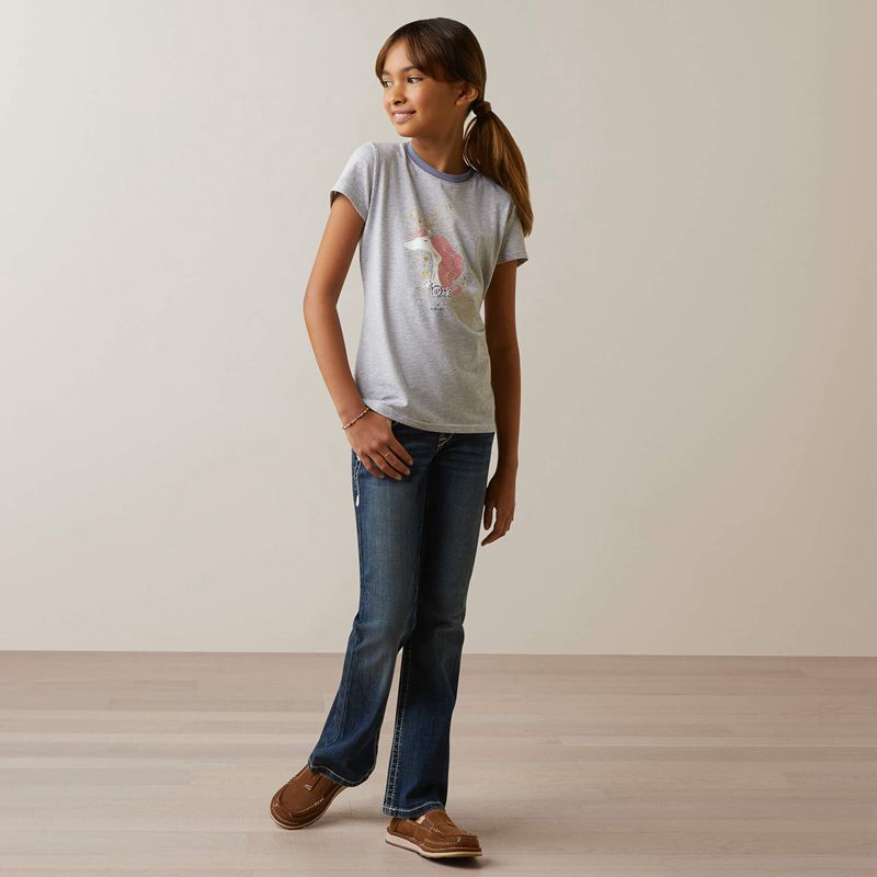 Heather Grey Ariat Imagine T-Shirt | 64MTGLBPQ