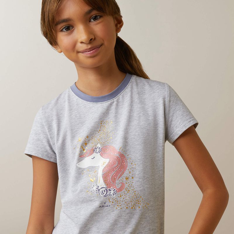 Heather Grey Ariat Imagine T-Shirt | 64MTGLBPQ