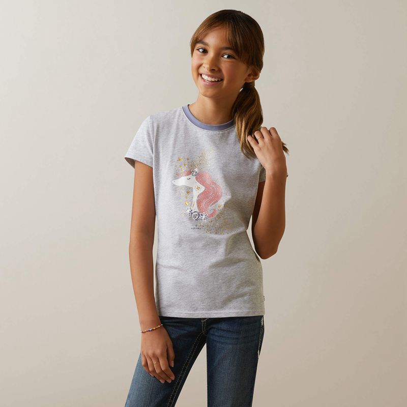 Heather Grey Ariat Imagine T-Shirt | 64MTGLBPQ