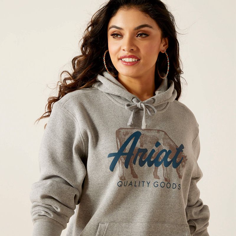 Heather Grey Ariat Real Grazing Hoodie | 84AVKDTFZ