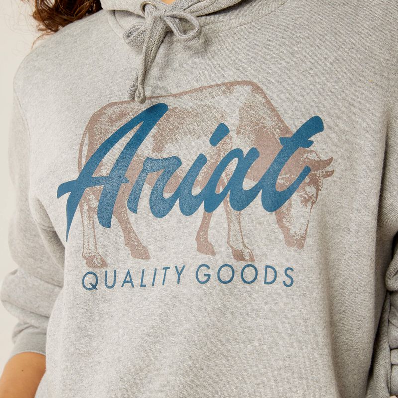 Heather Grey Ariat Real Grazing Hoodie | 84AVKDTFZ