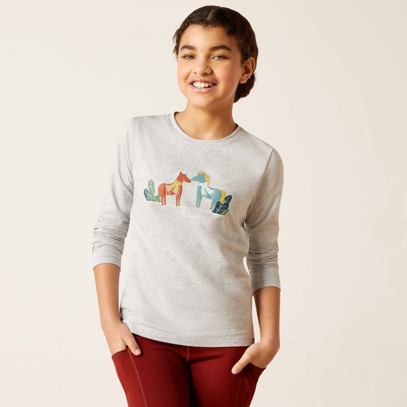 Heather Grey Ariat Winter Fashions T-Shirt | 74VDHYNQU