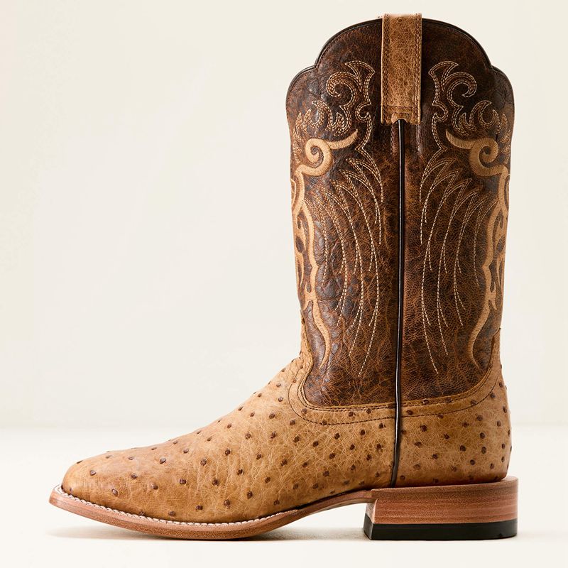 Honey Tan Full Quill Ostrich/Chestnut Br Ariat Rio Cowboy Boot | 27GTSLOPW