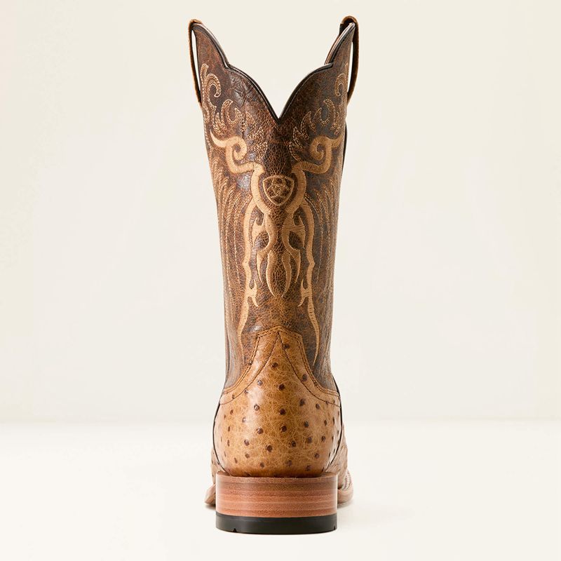 Honey Tan Full Quill Ostrich/Chestnut Br Ariat Rio Cowboy Boot | 27GTSLOPW