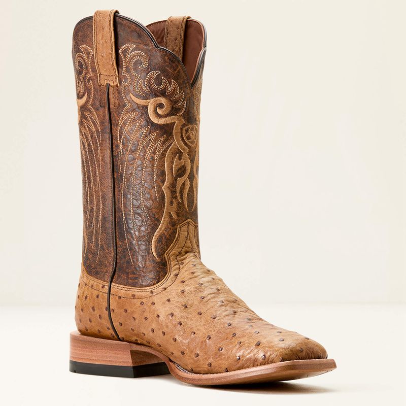 Honey Tan Full Quill Ostrich/Chestnut Br Ariat Rio Cowboy Boot | 27GTSLOPW