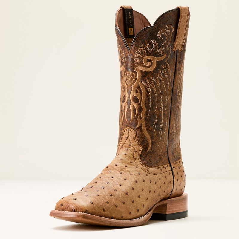 Honey Tan Full Quill Ostrich/Chestnut Br Ariat Rio Cowboy Boot | 27GTSLOPW