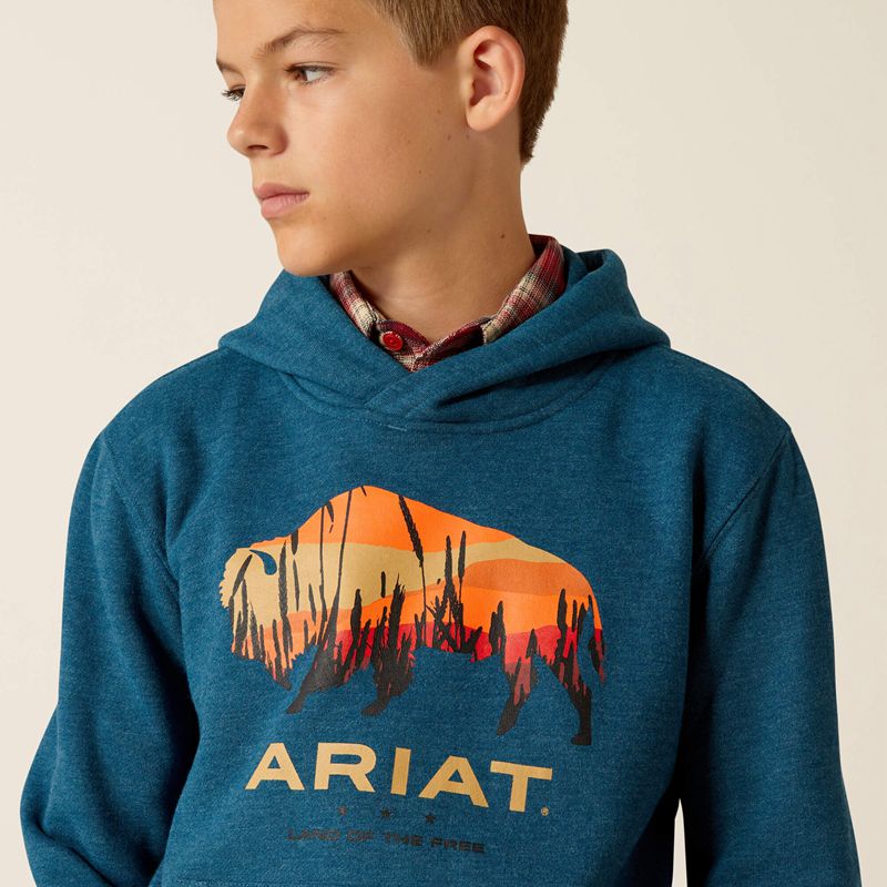 Hydra Heather Ariat Bison Plains Hoodie | 64KNPGDXC