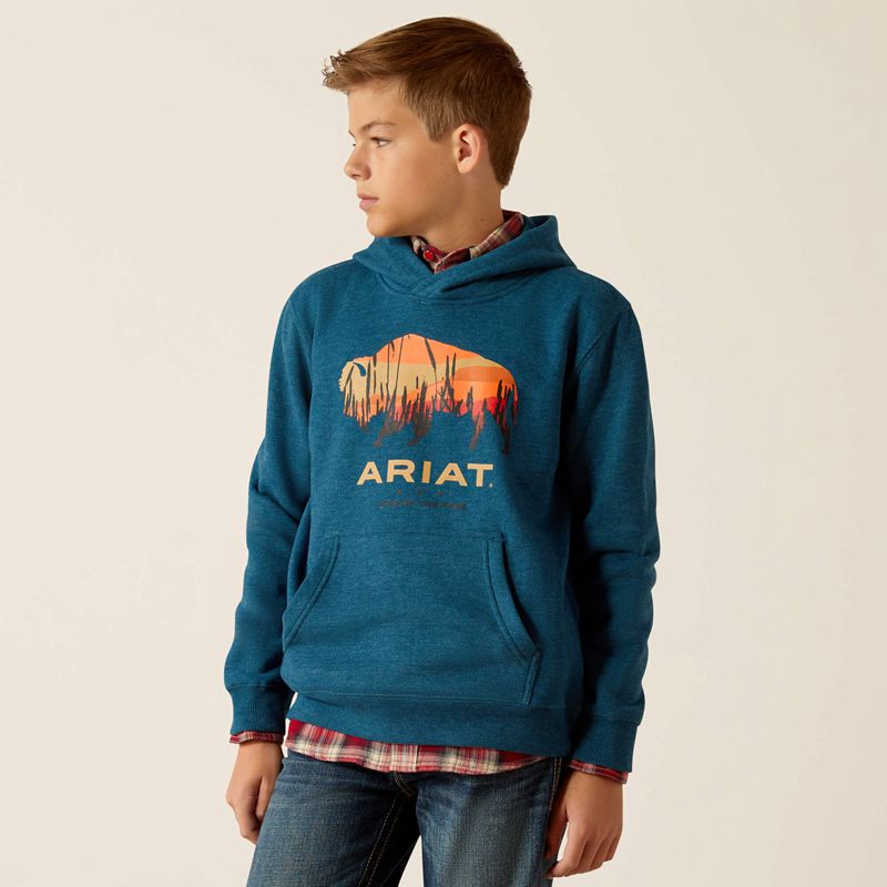 Hydra Heather Ariat Bison Plains Hoodie | 64KNPGDXC