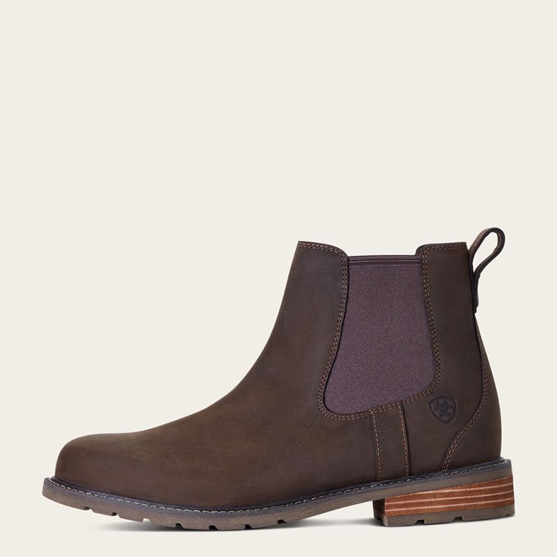 Java Ariat Wexford Waterproof Chelsea Boot | 89ZPEAJQD